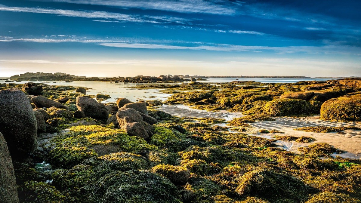 bretagne mer paysage