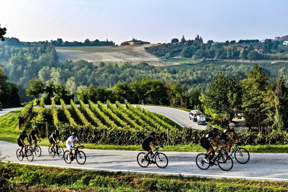 cyclistes au milieu des vignes tourrangelles