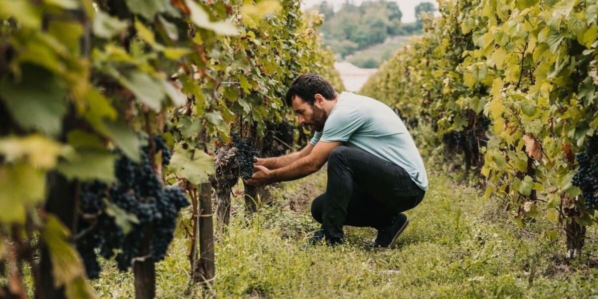 Travailler en nouvelle-aquitaine