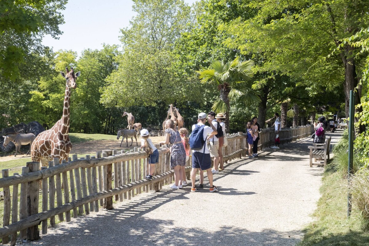 zoo parc beauval