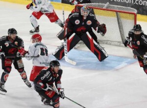 Vivre et vibrer à Amiens : les Gothiques d'Amiens, hockey sur glace