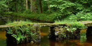 Au milieu coule une rivière