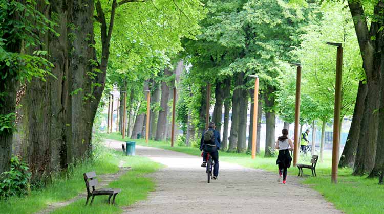 Vivre et travailer au vert à Reims : la Coulée Verte