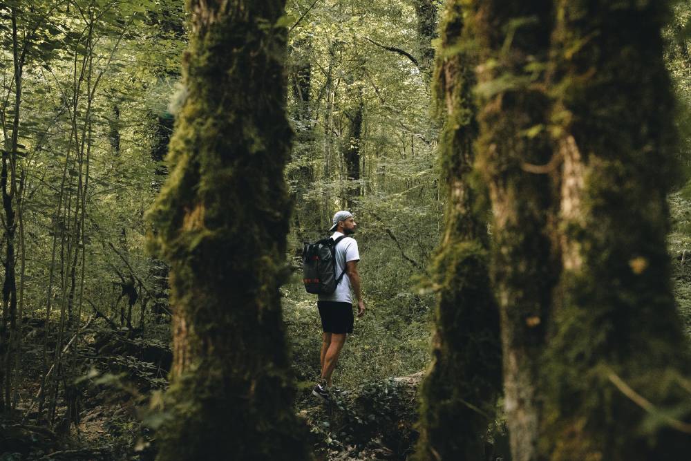 Un homme en randonnée dans le parc national de Forêts en haute-Marne.